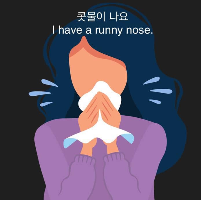 콧물 영어로 I have a runny nose.
